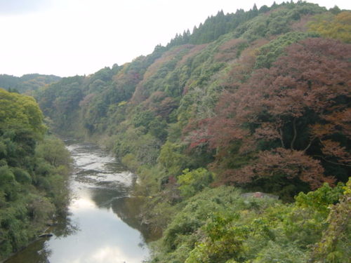 Dsc02452